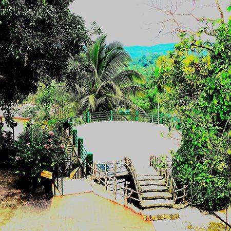 Rainforest Lodge, Deniyaya Singheraja Bagian luar foto