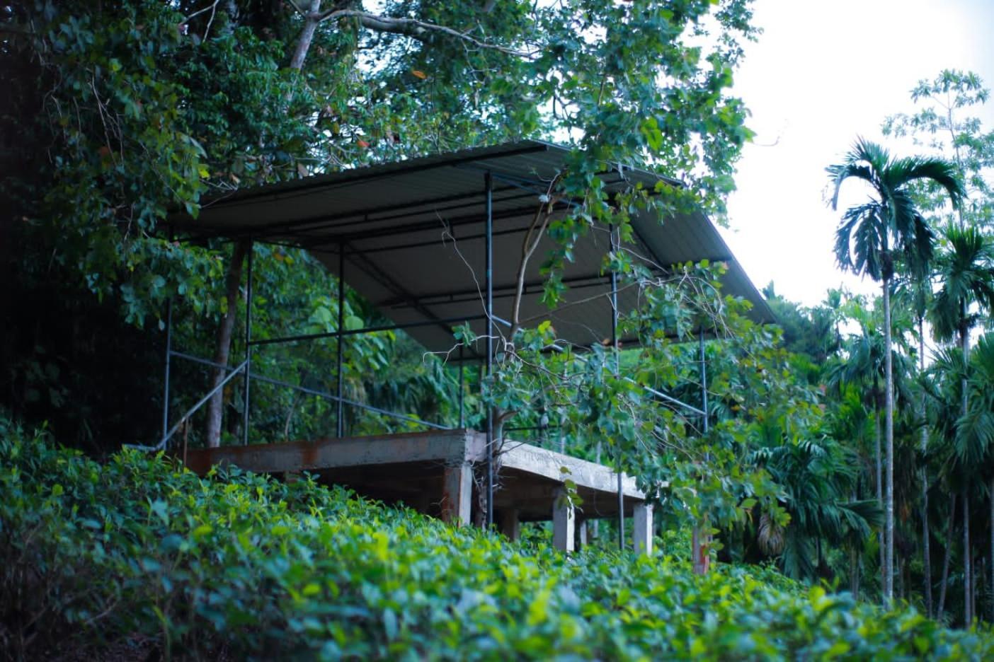Rainforest Lodge, Deniyaya Singheraja Bagian luar foto