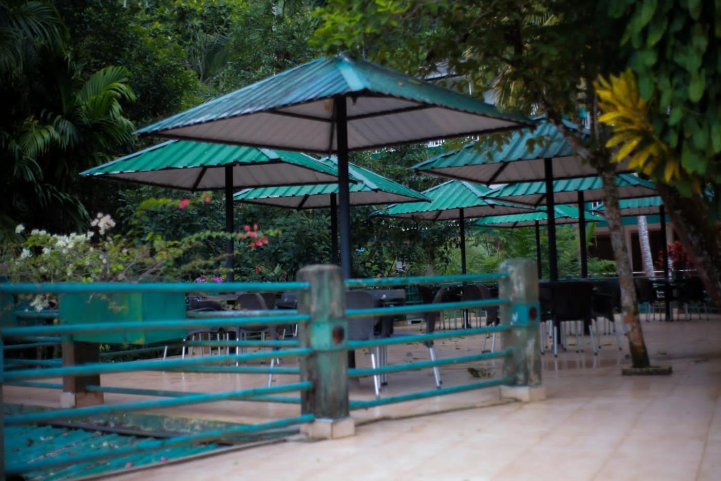 Rainforest Lodge, Deniyaya Singheraja Bagian luar foto