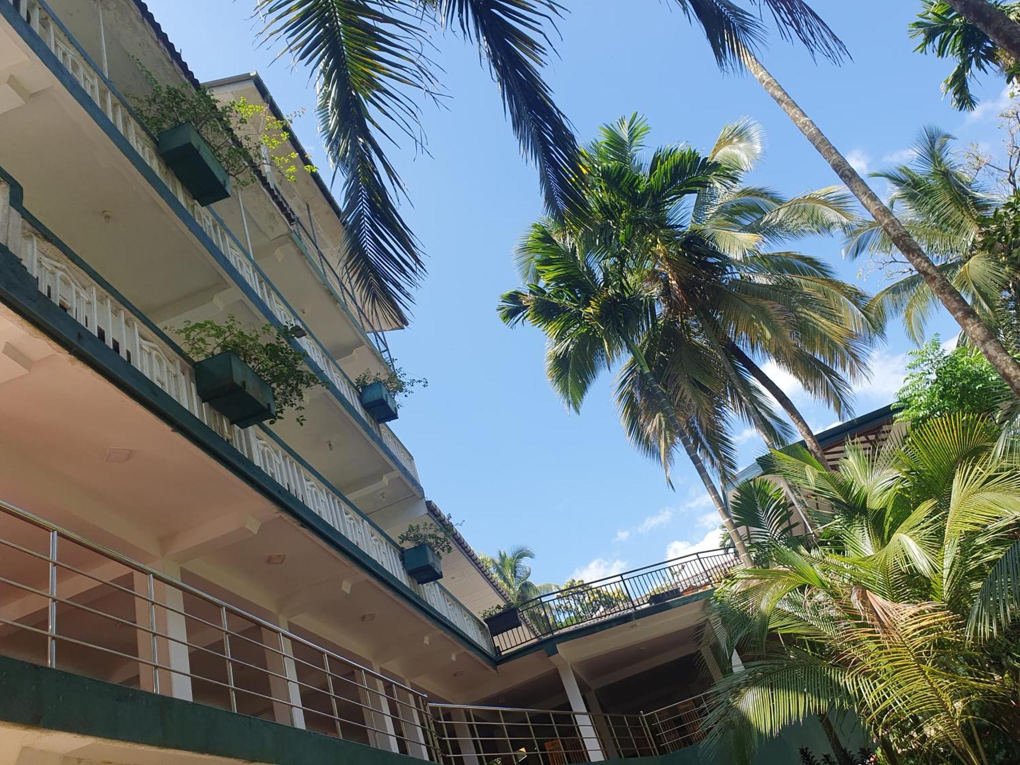 Rainforest Lodge, Deniyaya Singheraja Bagian luar foto