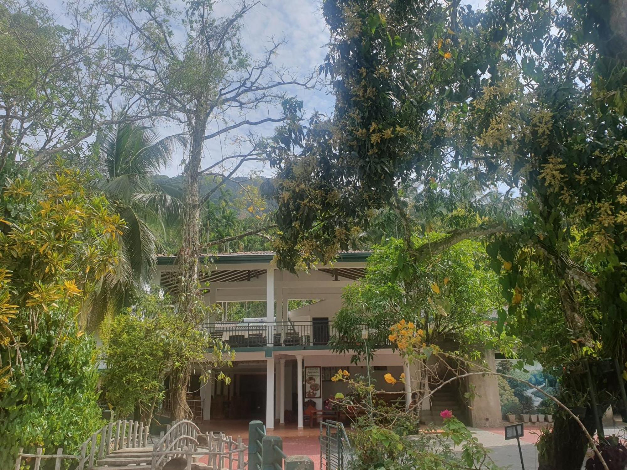 Rainforest Lodge, Deniyaya Singheraja Bagian luar foto