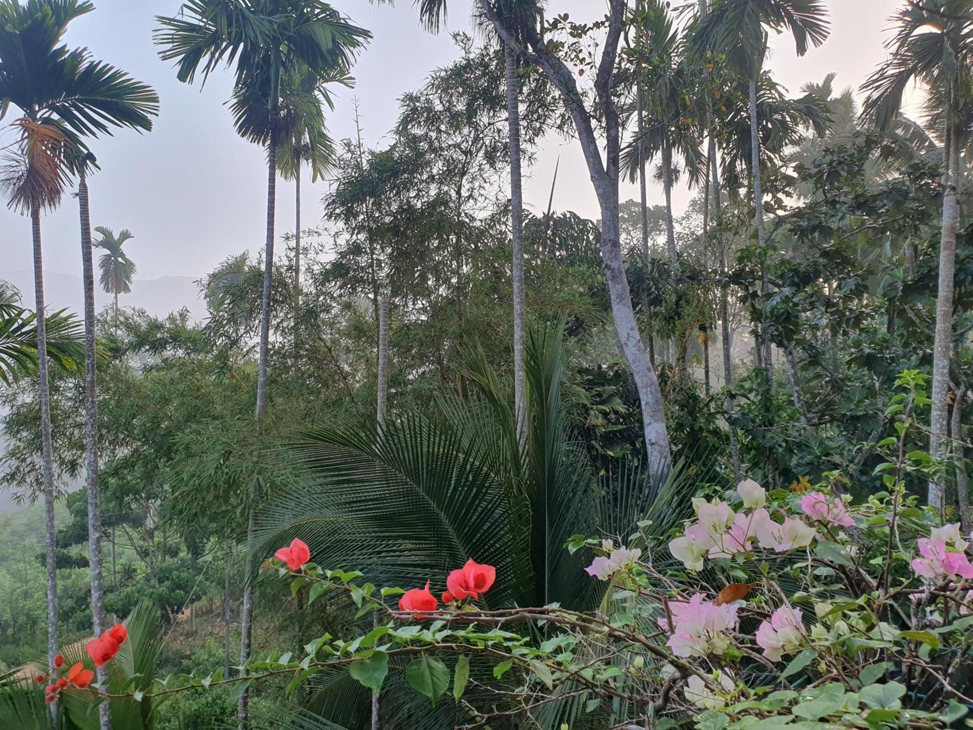 Rainforest Lodge, Deniyaya Singheraja Bagian luar foto