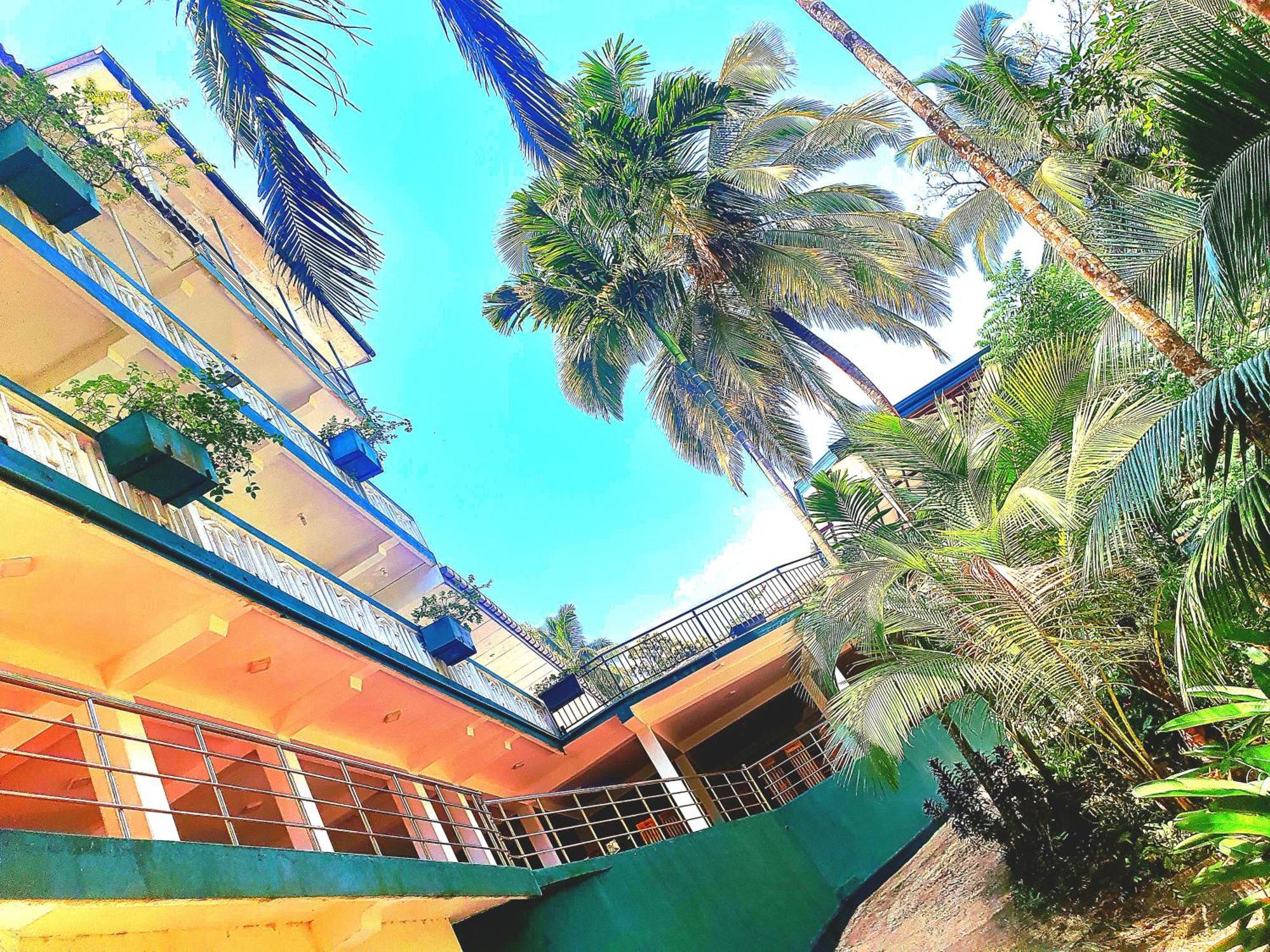 Rainforest Lodge, Deniyaya Singheraja Bagian luar foto