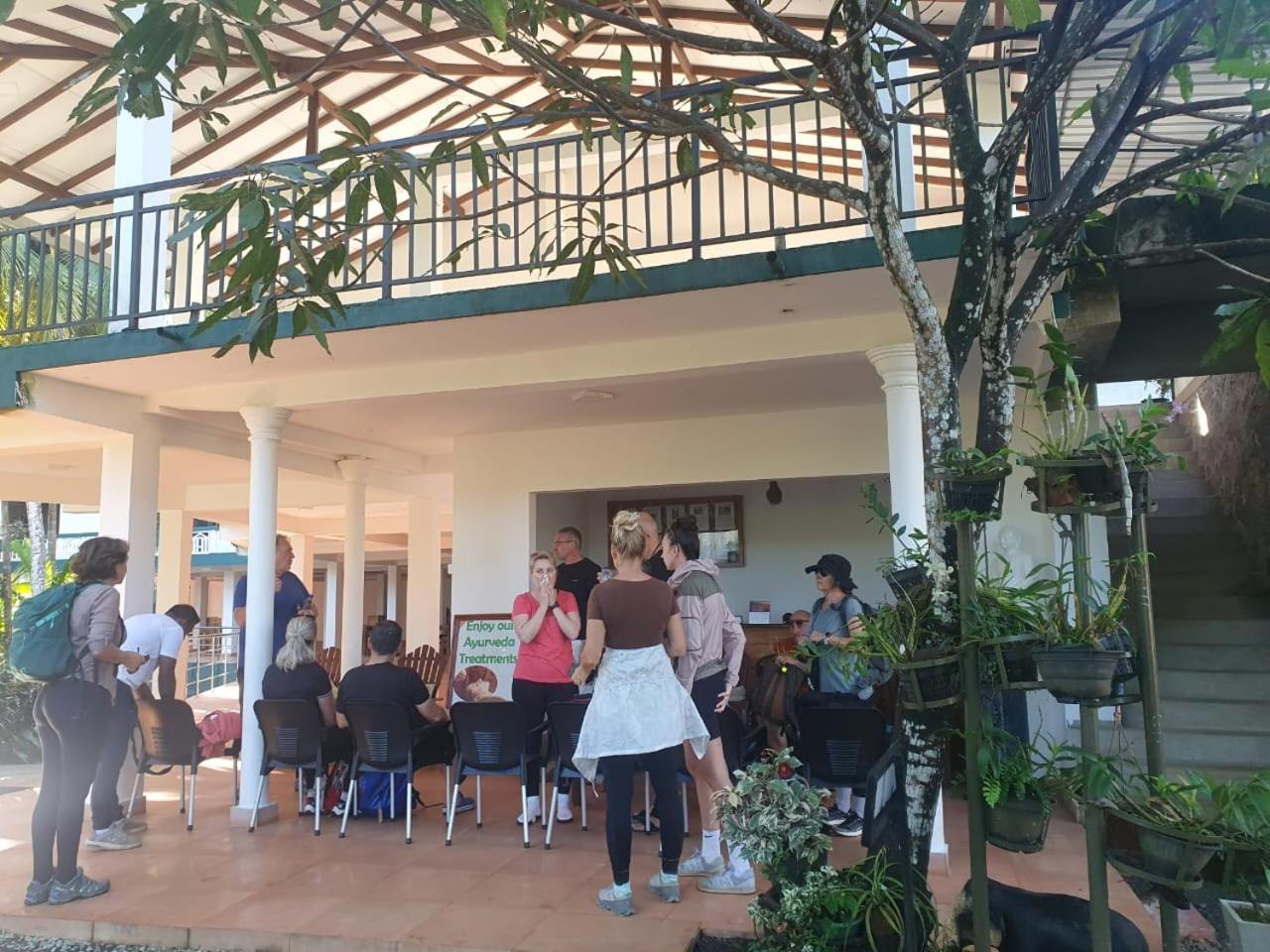 Rainforest Lodge, Deniyaya Singheraja Bagian luar foto
