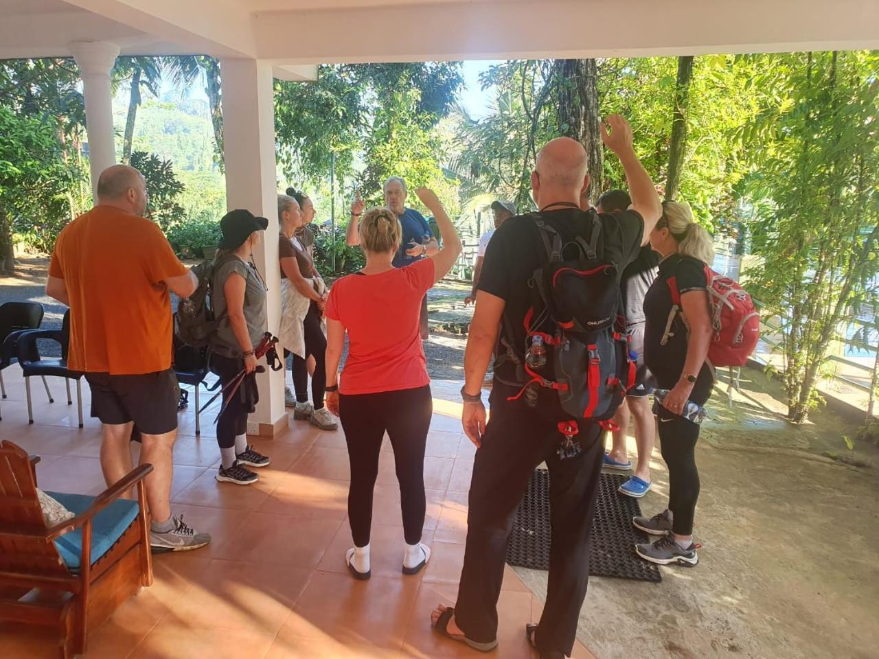 Rainforest Lodge, Deniyaya Singheraja Bagian luar foto