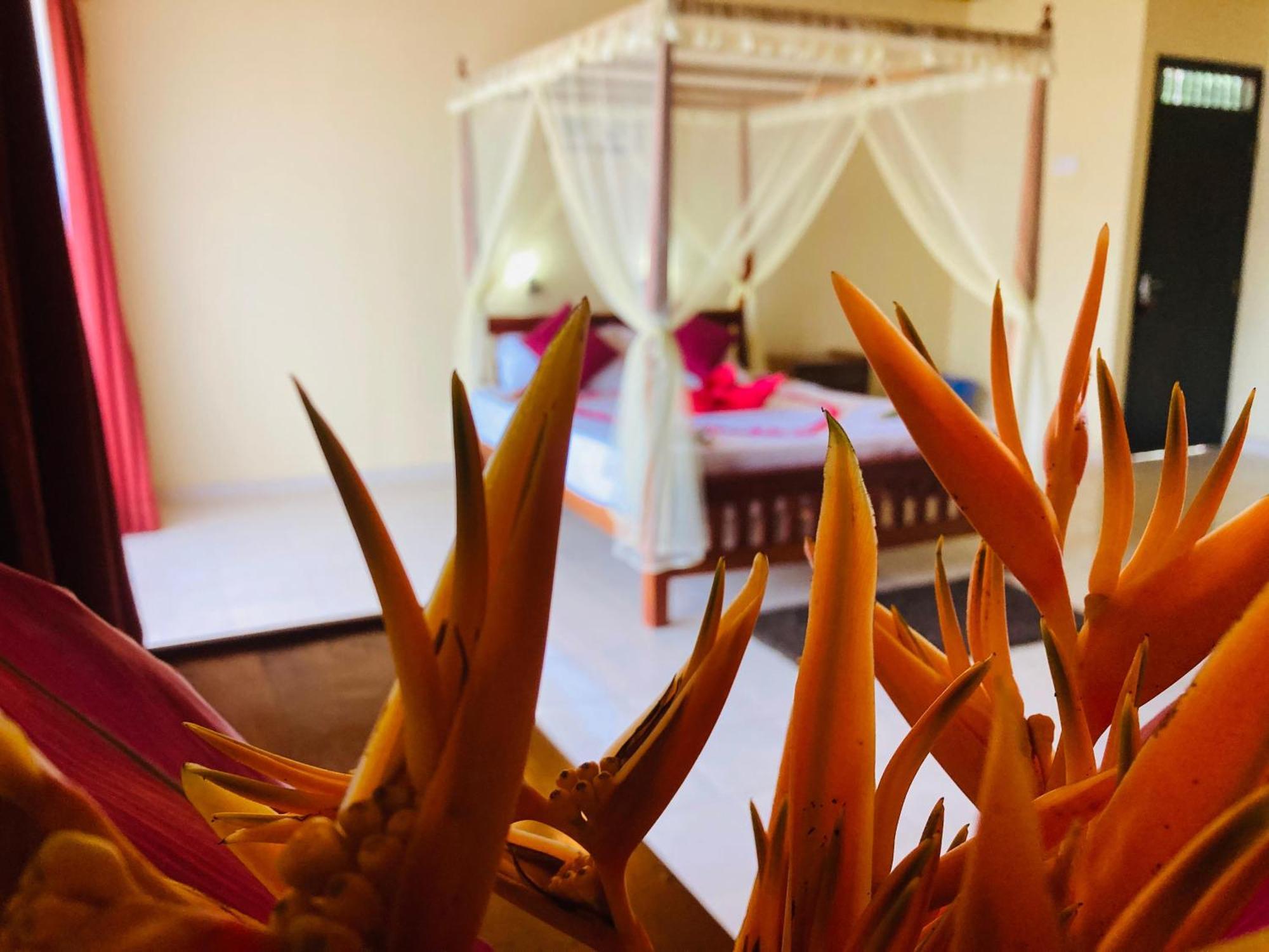 Rainforest Lodge, Deniyaya Singheraja Bagian luar foto