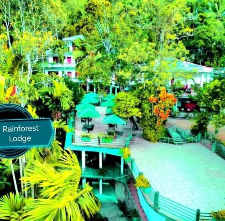 Rainforest Lodge, Deniyaya Singheraja Bagian luar foto